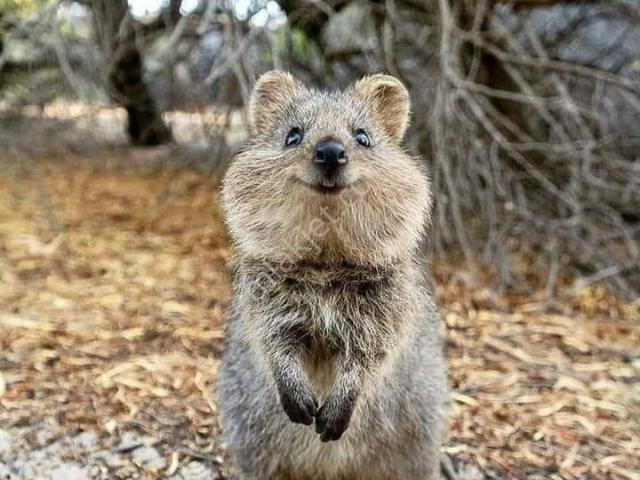 Cumhuriyet Mahallesi, Polatli içerisinde satılık mülk