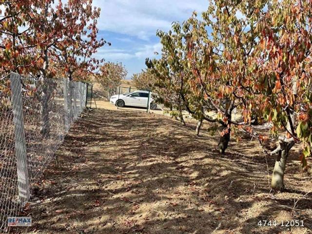 Macun, Polatli içerisinde satılık Arsa