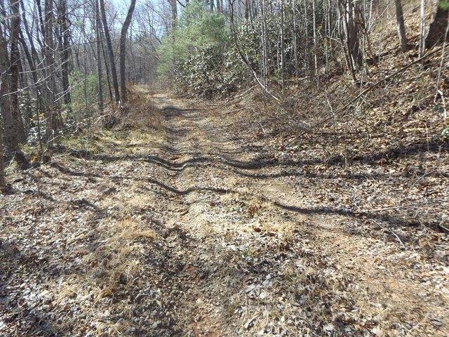 Land for sale in Virginia