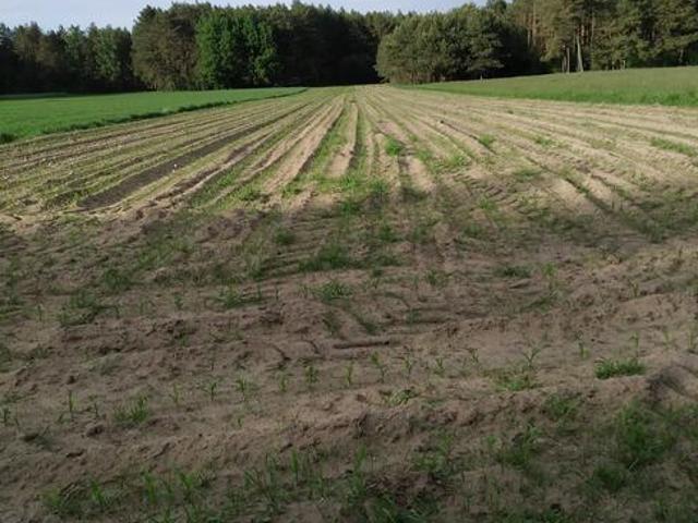 Grunt na sprzedaż w Śniadowo, Podlaskie