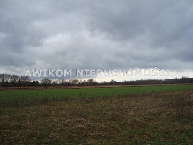 Grunt na sprzedaż w Żelechów, Mazowieckie