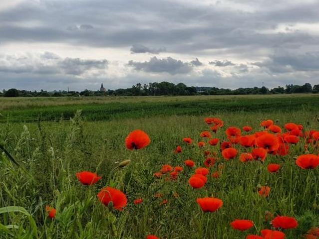 Grunt na sprzedaż w Trzebiatów, Zachodniopomorskie