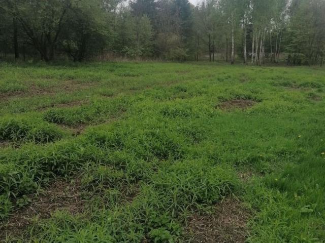 Grunt na sprzedaż w Jabłonna, Mazowieckie