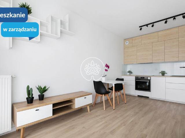 Mieszkanie do wynajęcia w Bydgoszcz, Kujawsko-pomorskie