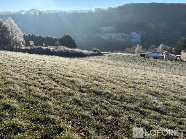 Terrain vente à Le Puy-en-Velay, Polignac