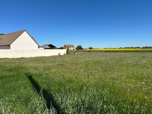 Terrain vente à Fontainebleau, Poligny