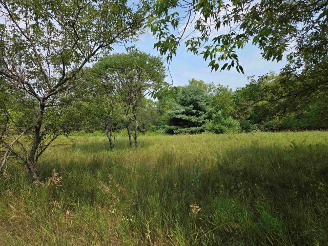 Land for sale in Wausaukee, Wisconsin