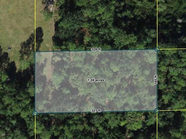 Land for sale in Polk City, Florida