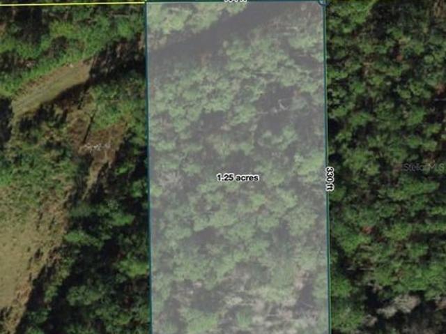Land for sale in Polk City, Florida