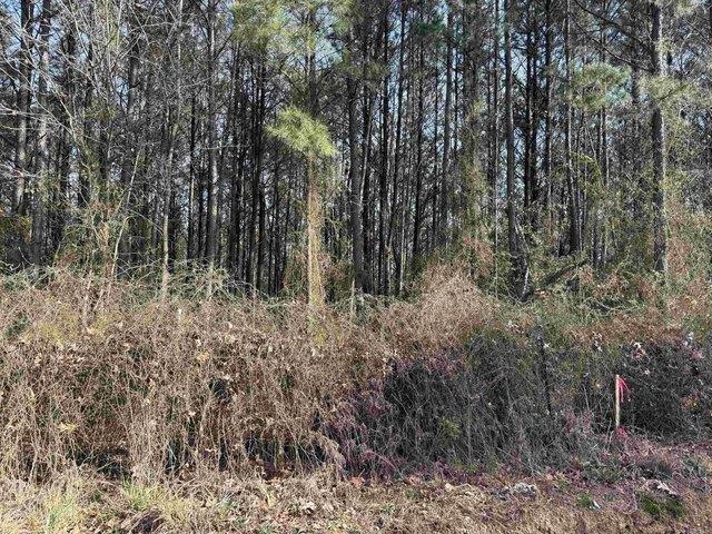 Land for sale in Ark