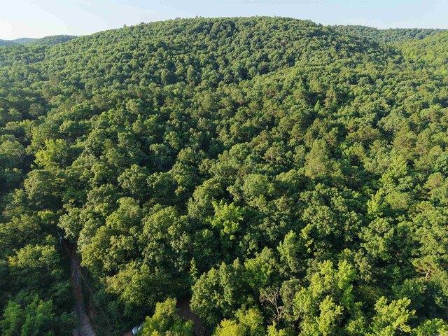 Land for sale in Ark