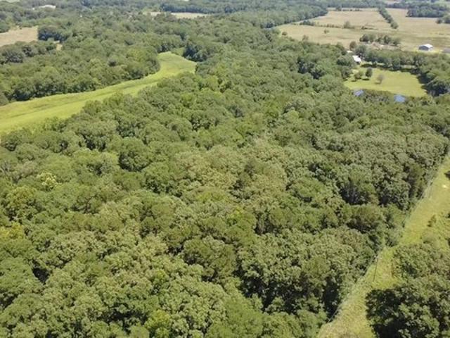Land for sale in Ark