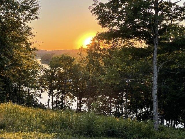 Land for sale in Cadiz, Trigg County
