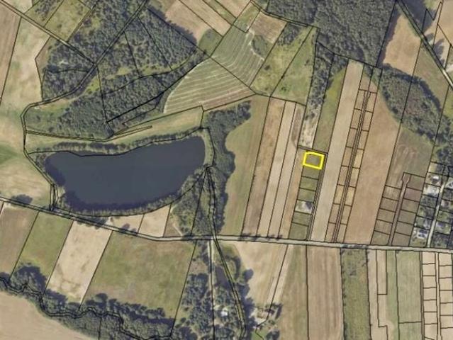 Grunt na sprzedaż w ROD Wspólnota, Gorzów Wielkopolski
