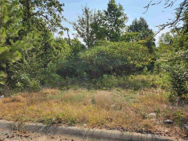 Land for sale in Ark