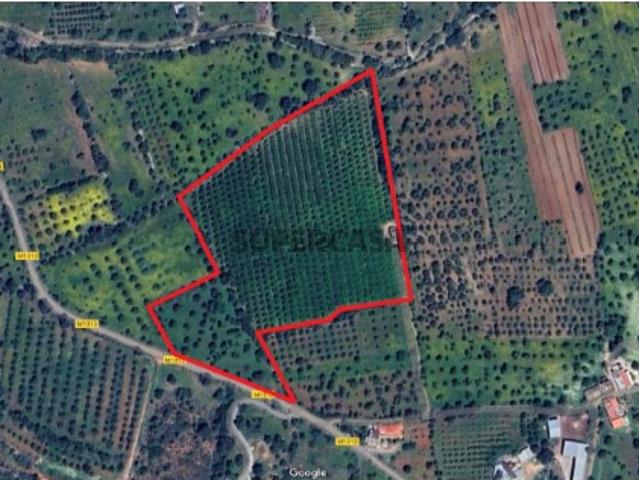 Terreno venda em Olhão, Faro