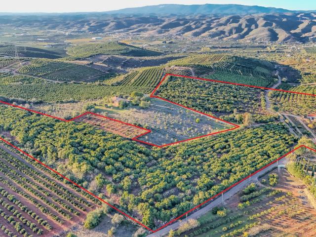Terreno venda em Silves, Faro