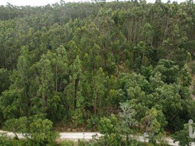 Terreno venda em Pombal, Leiria