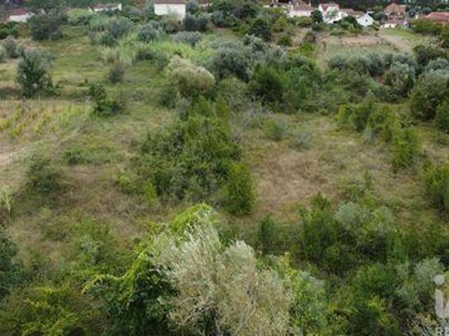 Terreno venda em Pombal, Leiria