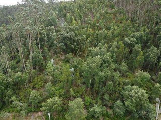 Terreno venda em Pombal, Leiria