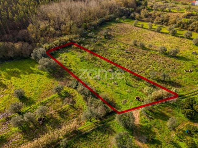 Terreno venda em Pombal, Leiria