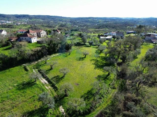 Terreno venda em Pombal, Leiria