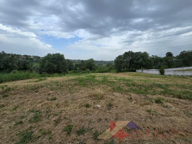 Terreno venda em Pombal, Leiria