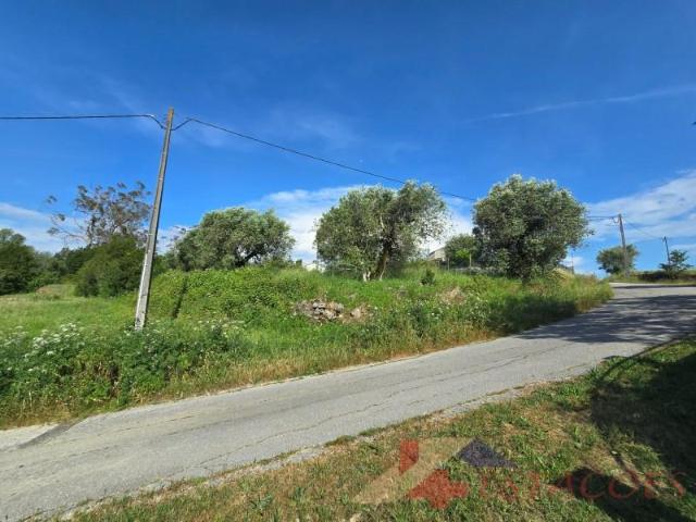 Terreno venda em Pombal, Leiria
