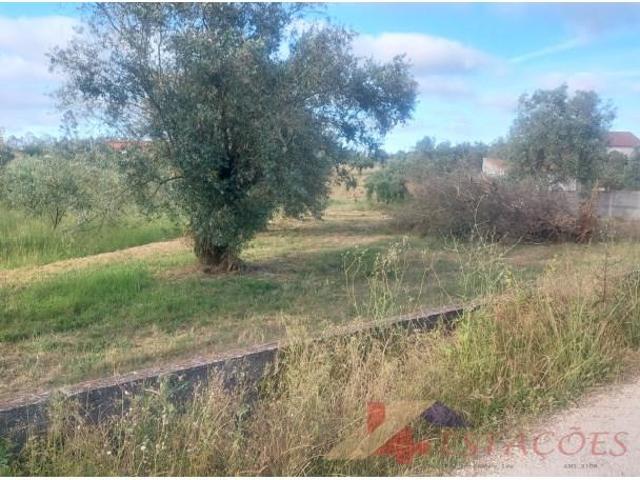 Terreno venda em Pombal, Leiria