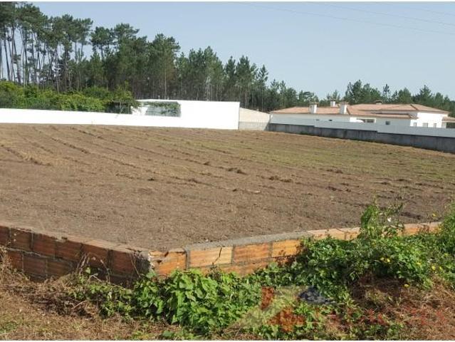 Terreno venda em Pombal, Leiria