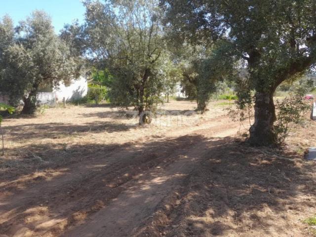 Terreno venda em Pombal, Leiria