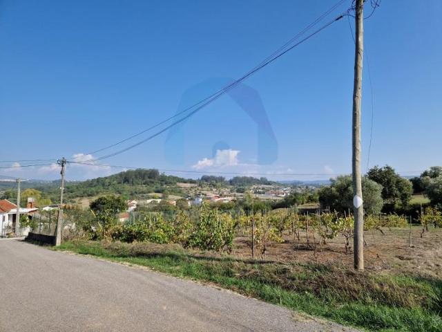 Terreno venda em Pombal, Leiria