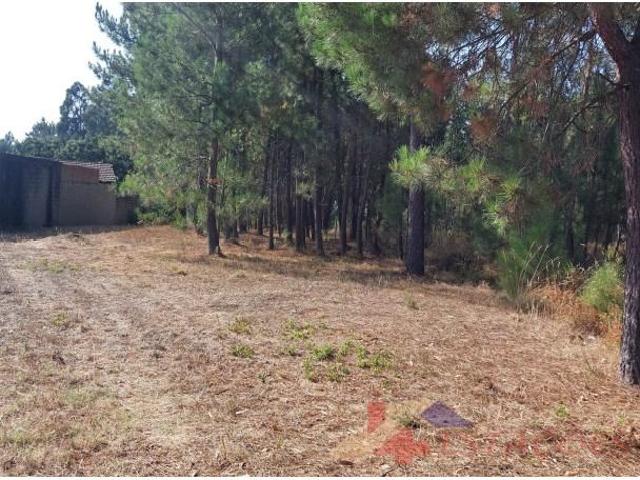 Terreno venda em Pombal, Leiria