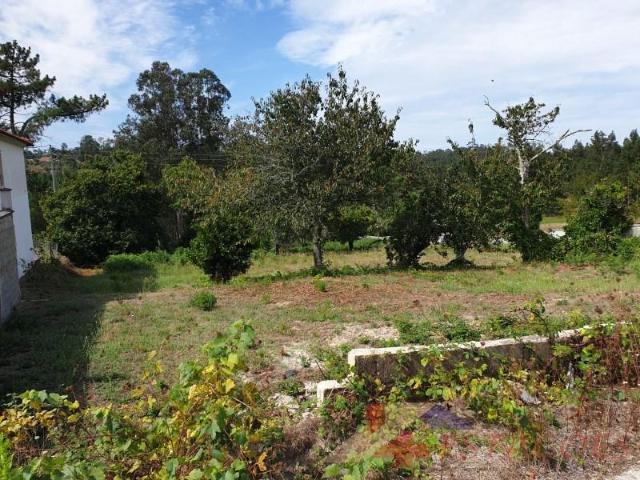 Terreno venda em Pombal, Leiria