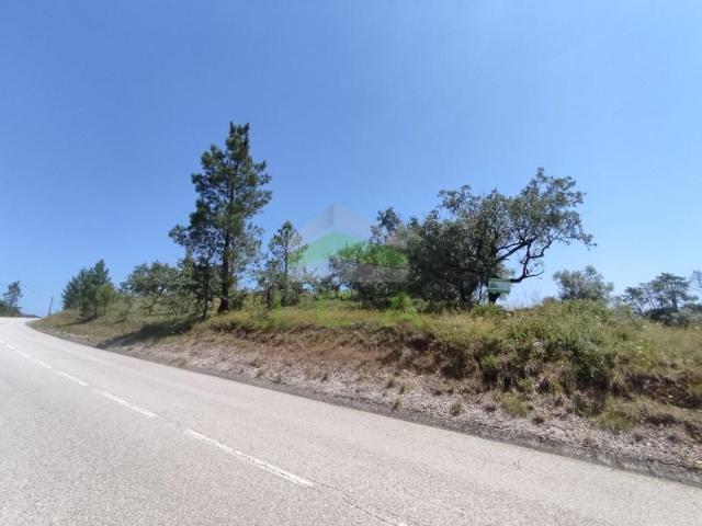Terreno venda em Pombal, Vila Cã
