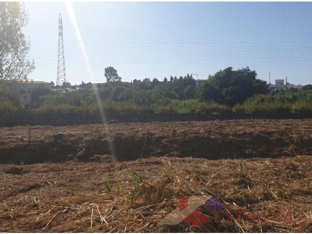 Terreno venda em Pombal, Leiria