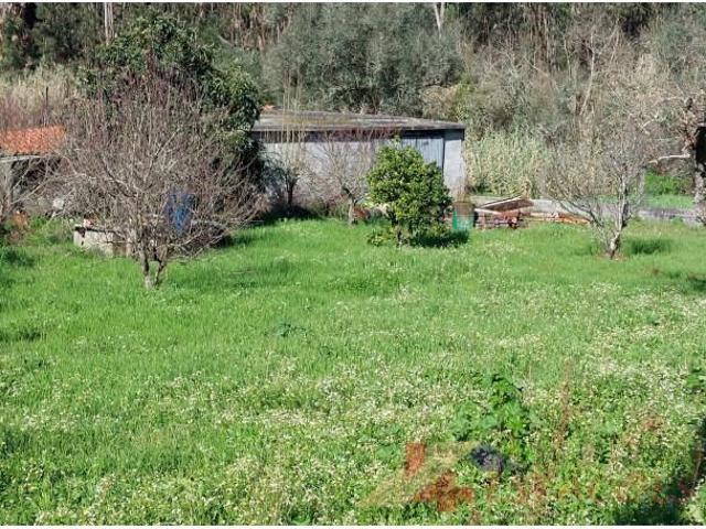 Terreno venda em Pombal, Leiria