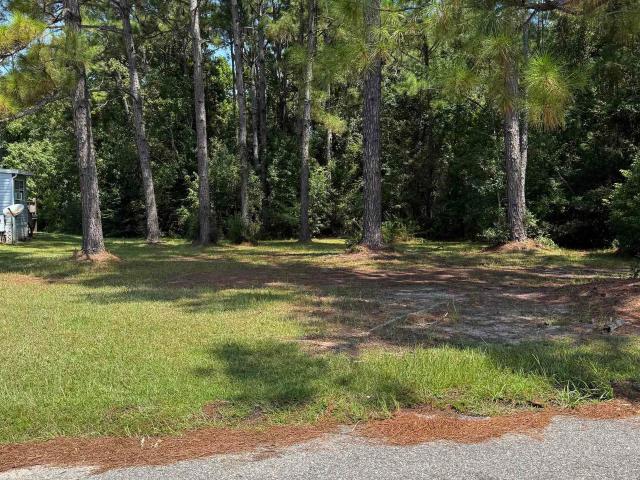 Land for sale in Elberta, Alabama
