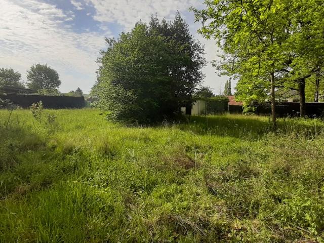 Terrain vente à Pomponne