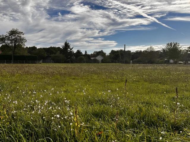 Terrain vente à France métropolitaine, Poncins