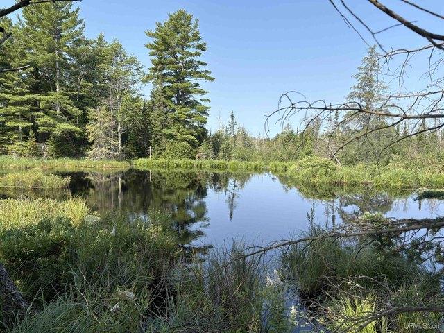 Land for sale in Deerton, Michigan
