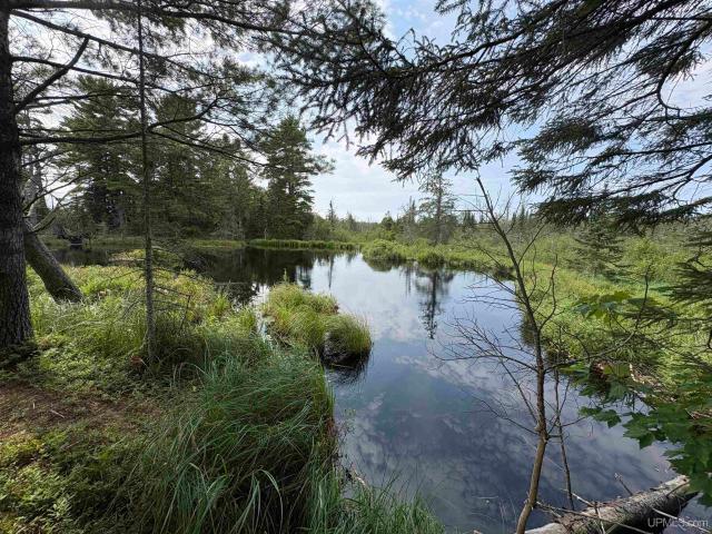 Land for sale in Deerton, Michigan