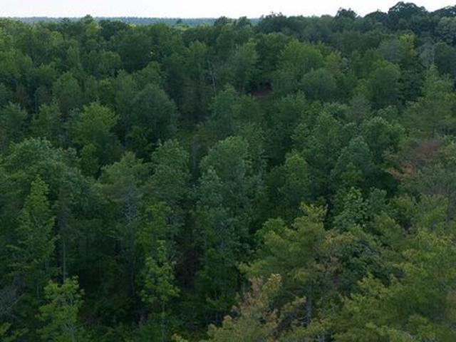Land for sale in Waldo, Maine