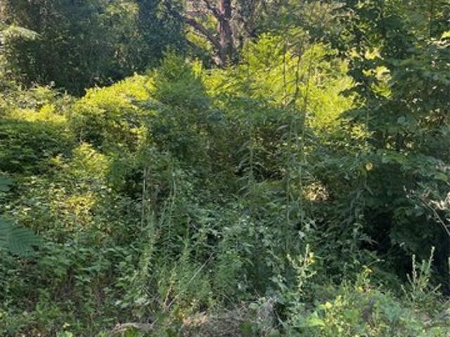 Land for sale in Henderson, Texas