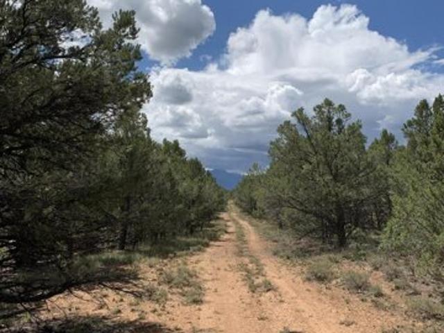Land for sale in Colorado