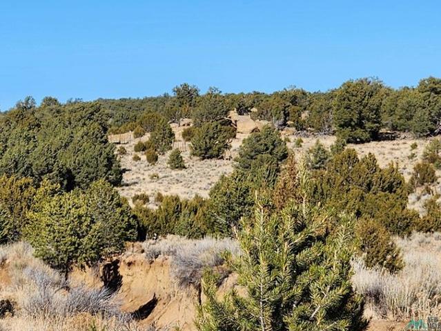 Land for sale in Catron, New Mexico