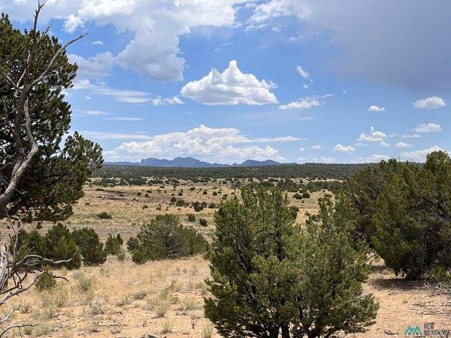 Land for sale in Pie Town, Catron County
