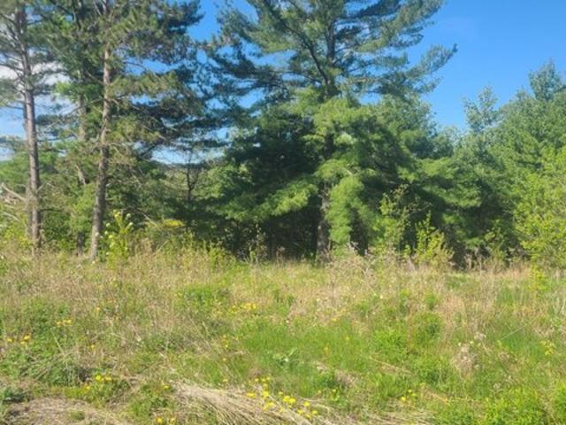 Land for sale in Limestone, Maine