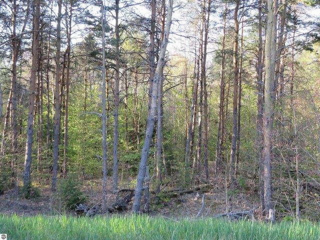 Land for sale in Petoskey, Michigan