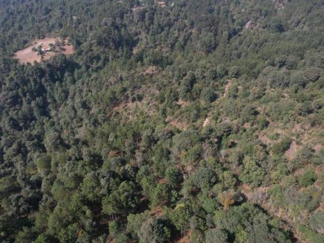 Terreno en venta en Zacatlán, Puebla